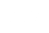 Icono visa
