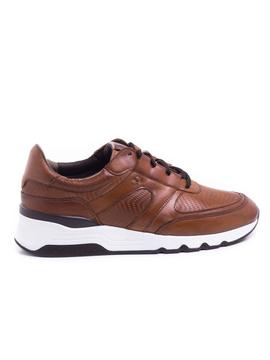 Sneaker Martinelli 1513-2556L2 Roble para Hombre