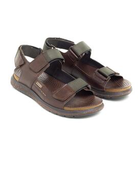 Sandalia Hombre Pikolinos M0B-0122 Marrón